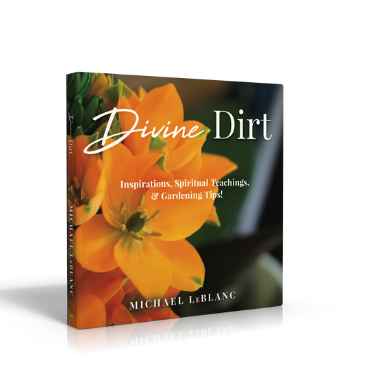 Divine Dirt (Soft Back)