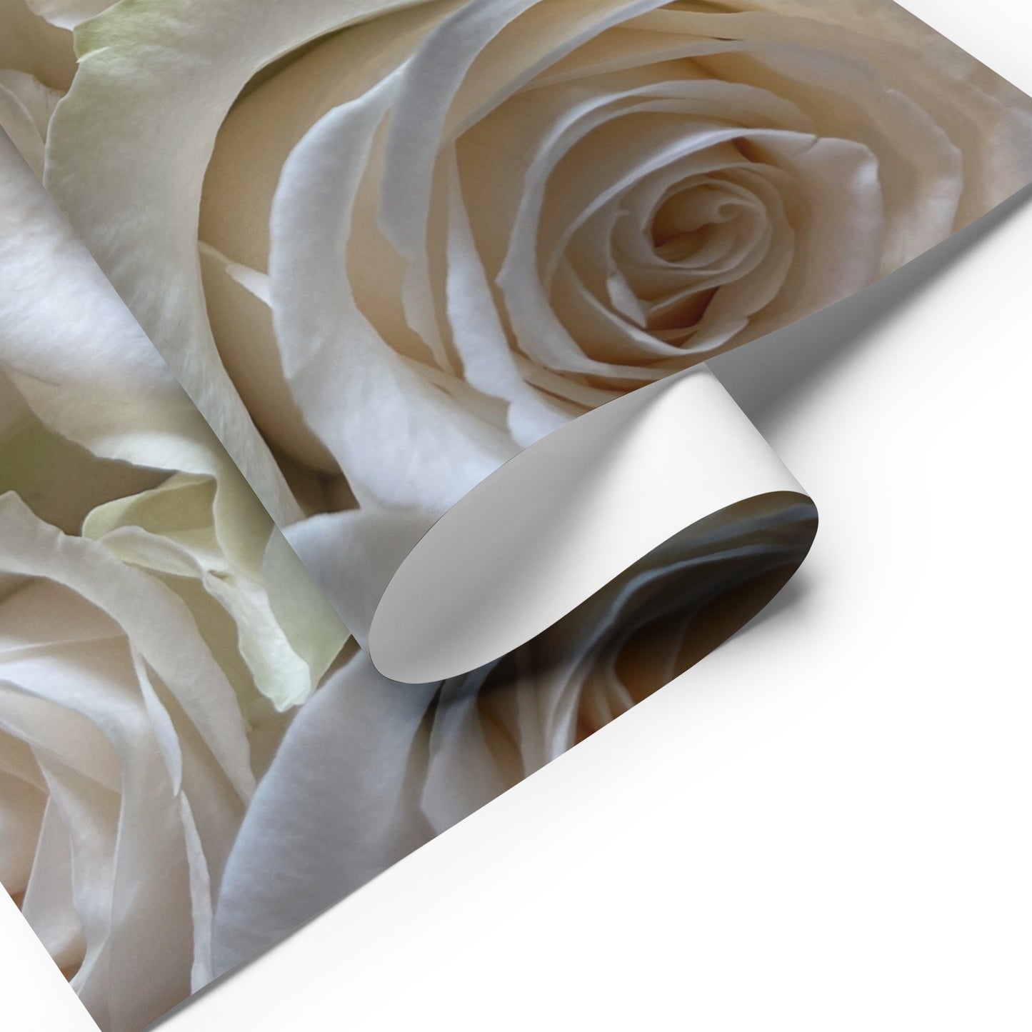 Wrapping paper sheets