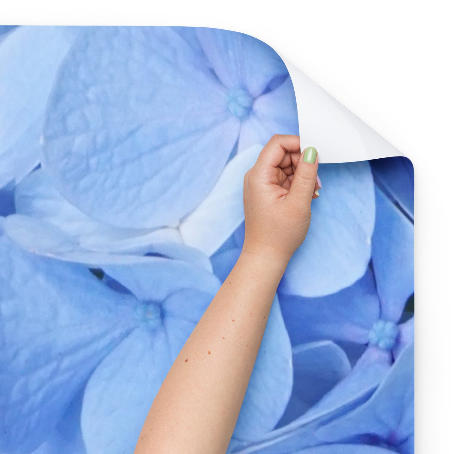 Blue Hydrangea Wrapping paper sheets