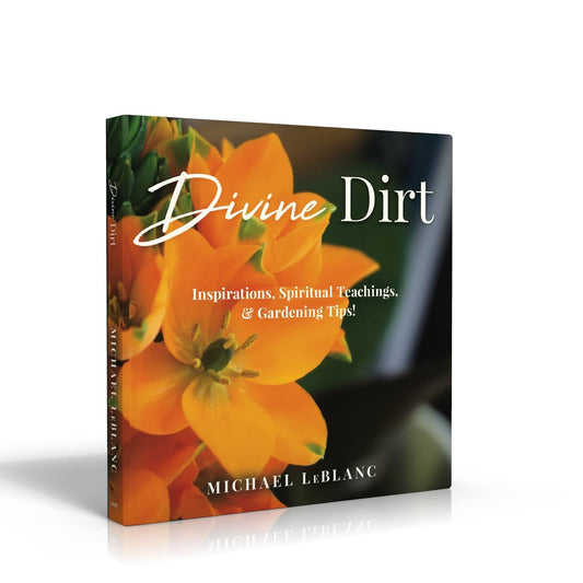Divine Dirt (Hardback)