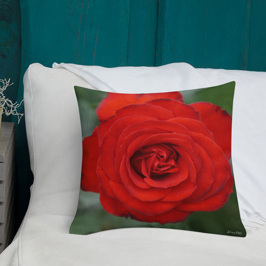 Red Rose Premium Pillow with White Back