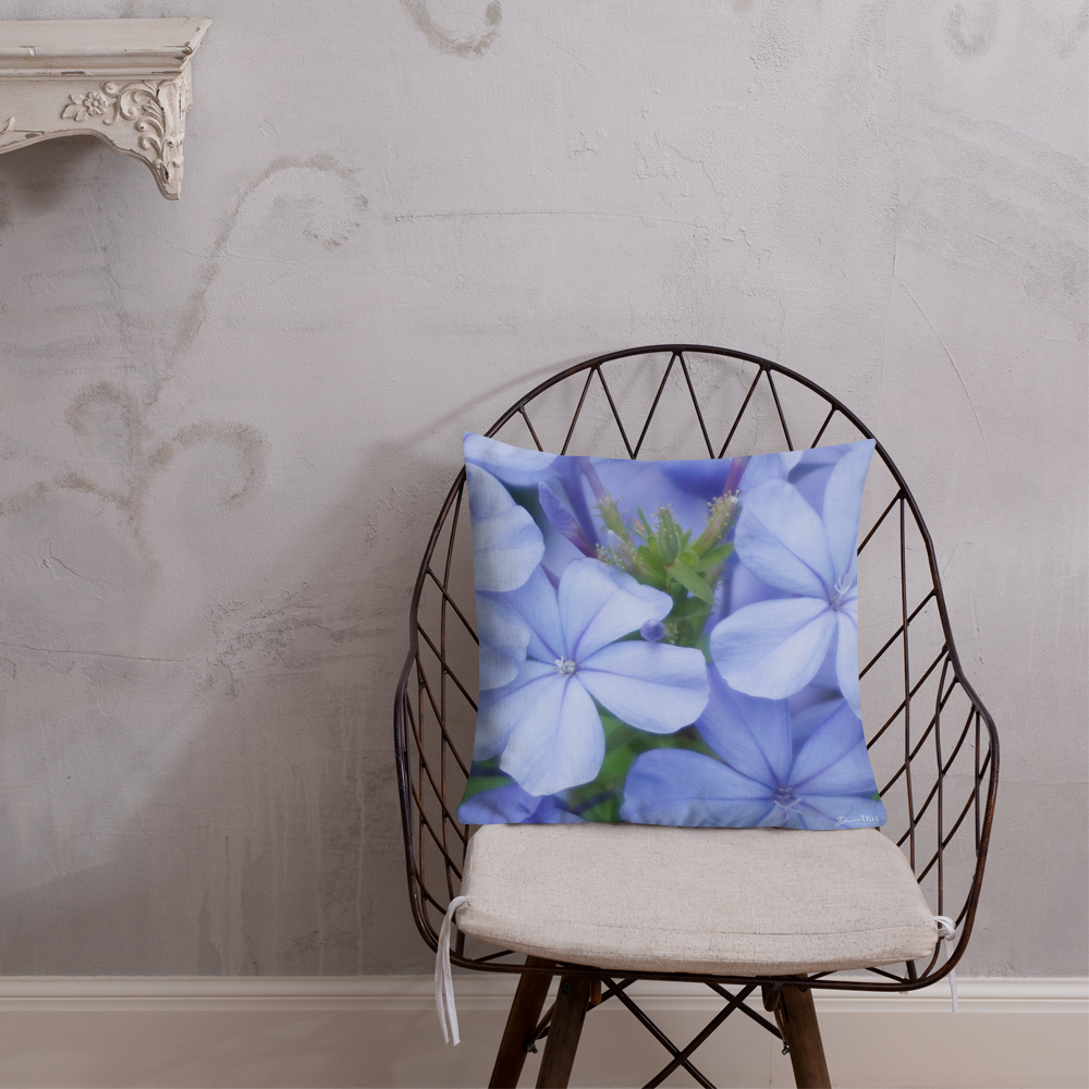 Blue Plumbago Premium Pillow with blue back