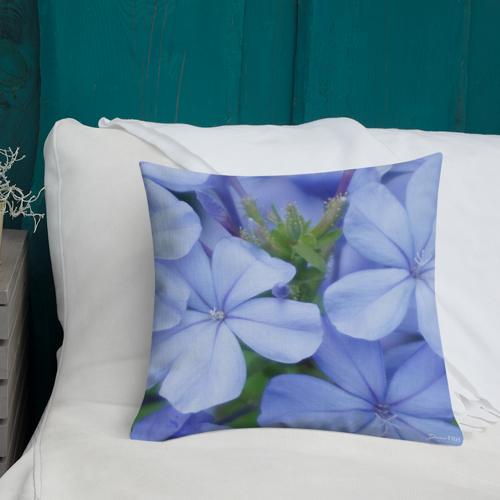 Blue Plumbago Premium Pillow with blue back