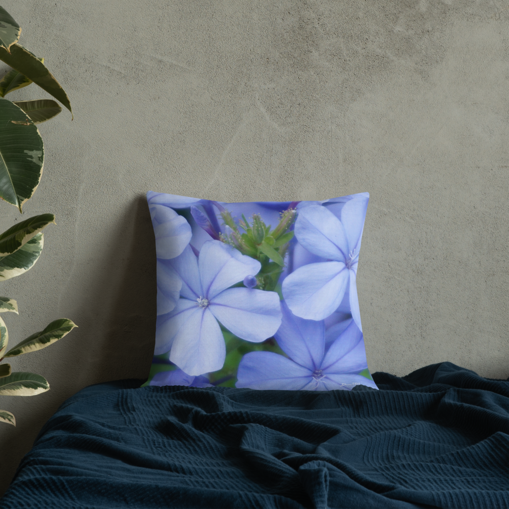 Blue Plumbago Premium Pillow with White Back