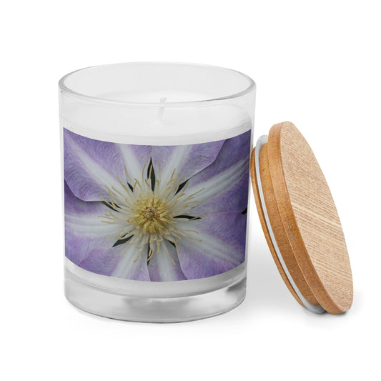Purple Clematis