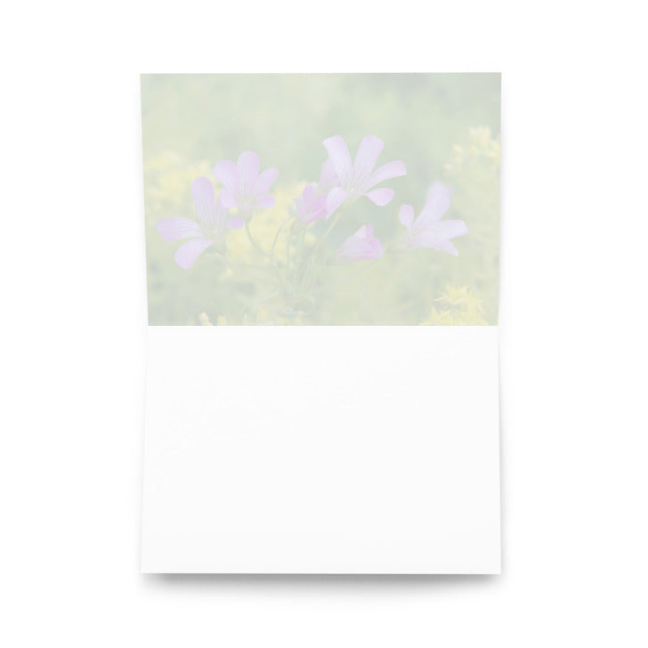 Pink Oxalis Greeting card  'Unplanned Beauty'