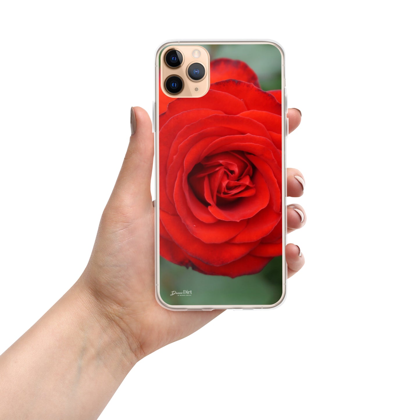 Red Rose iPhone Case