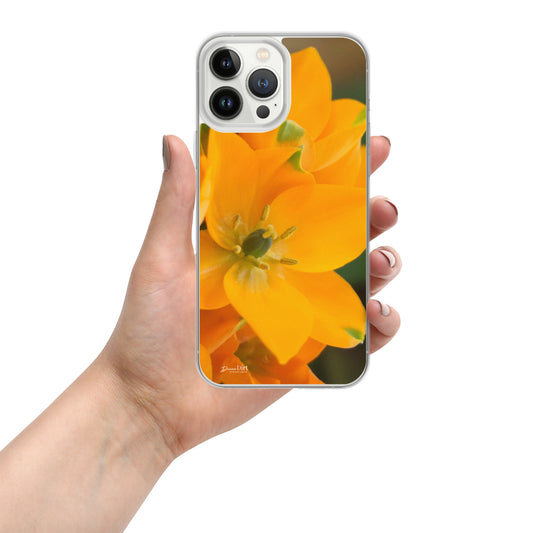 Orange Star iPhone Case