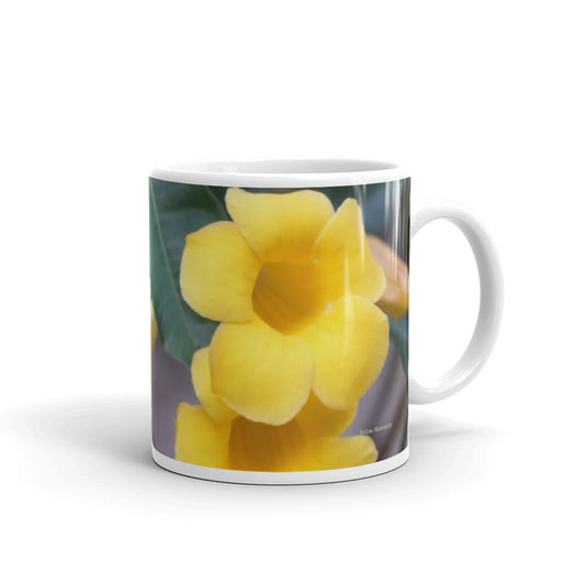 Yellow Allamanda  "Focus on thoughts that bring you joy"