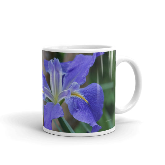 Purple Louisiana Iris without a message