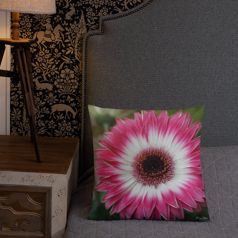 Pink Gerbera Daisy Premium Pillow with White Back