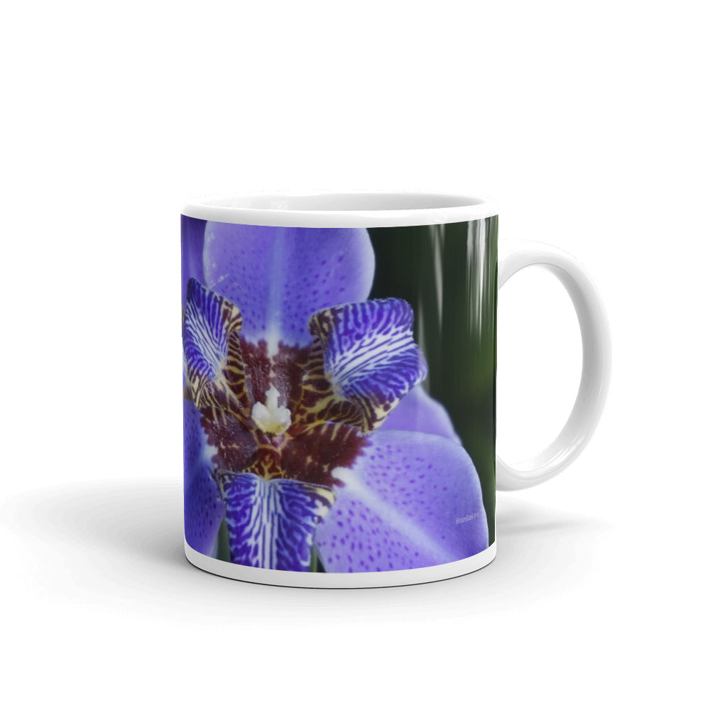 Purple Brazilian Iris   "Love"