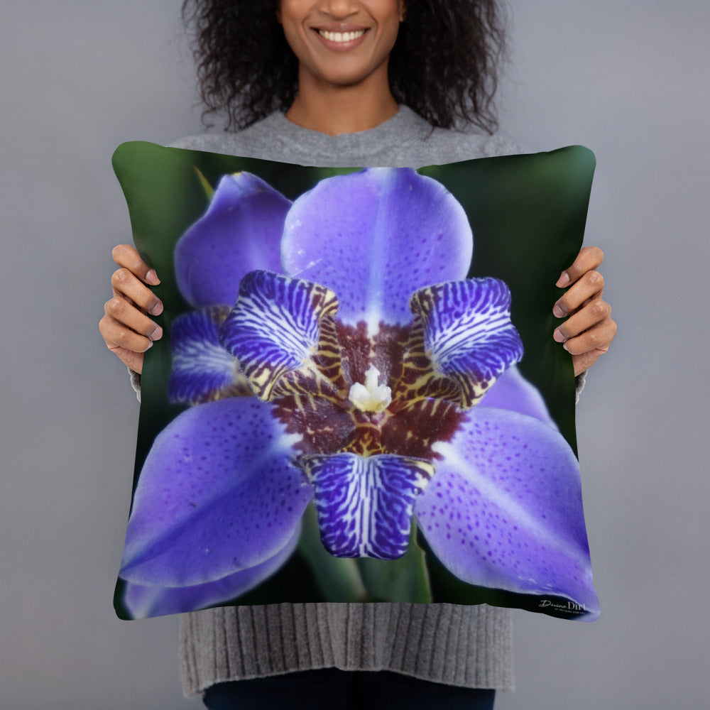 Brazilian Iris  Standard Pillow with Light Grey Back