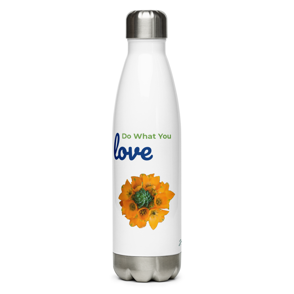 Do What You Love Stainless Steel Water Bottle